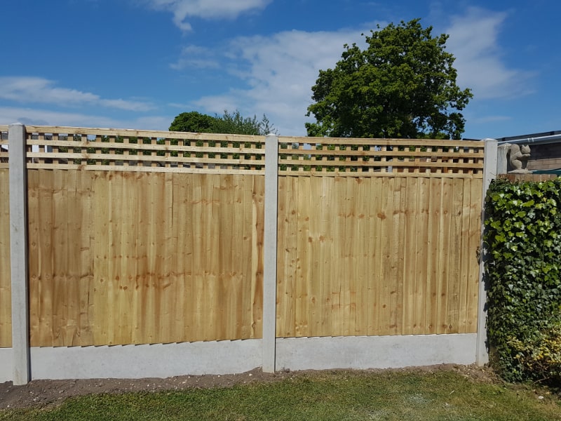 lewis-fencing-new-fences